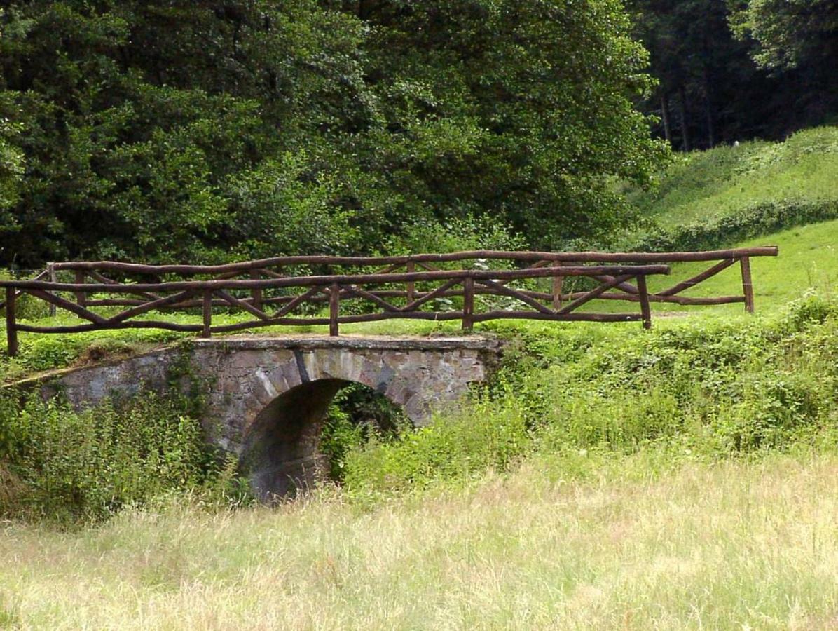 Schoenblick - Gemuetlich Uebernachten! Ober-Hambach Екстер'єр фото